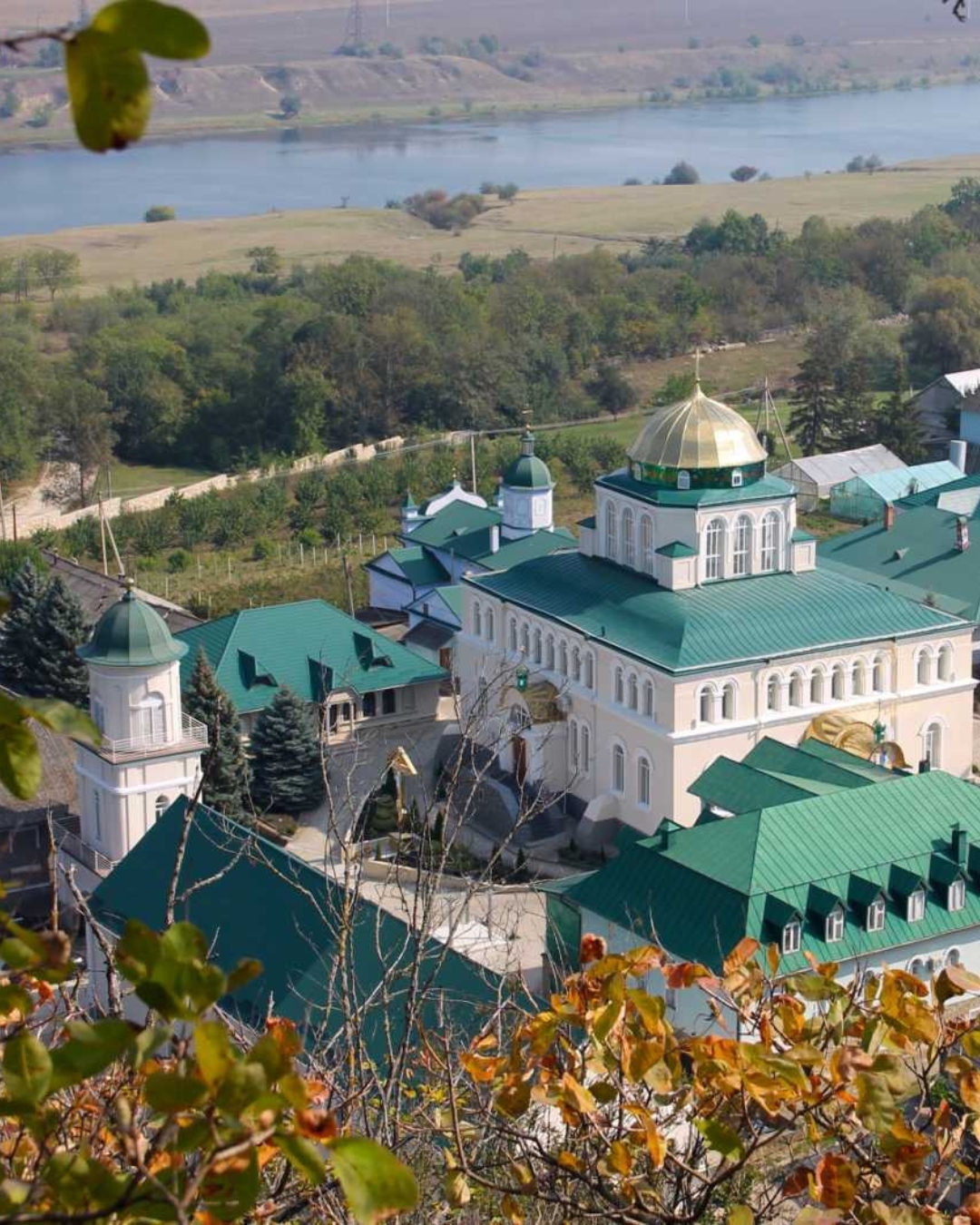 Place image