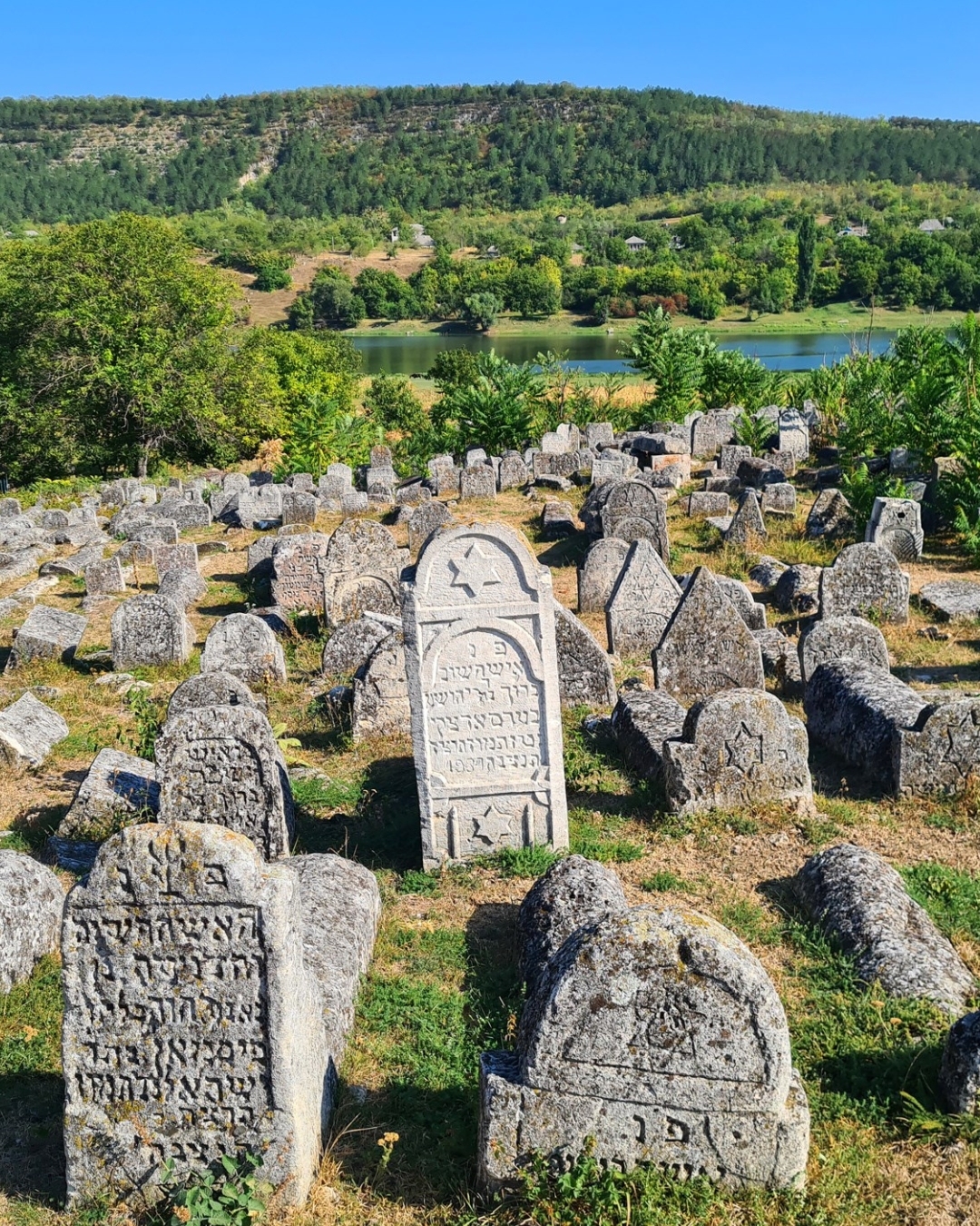 Place image