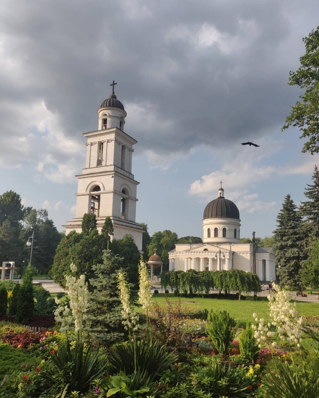 Place image