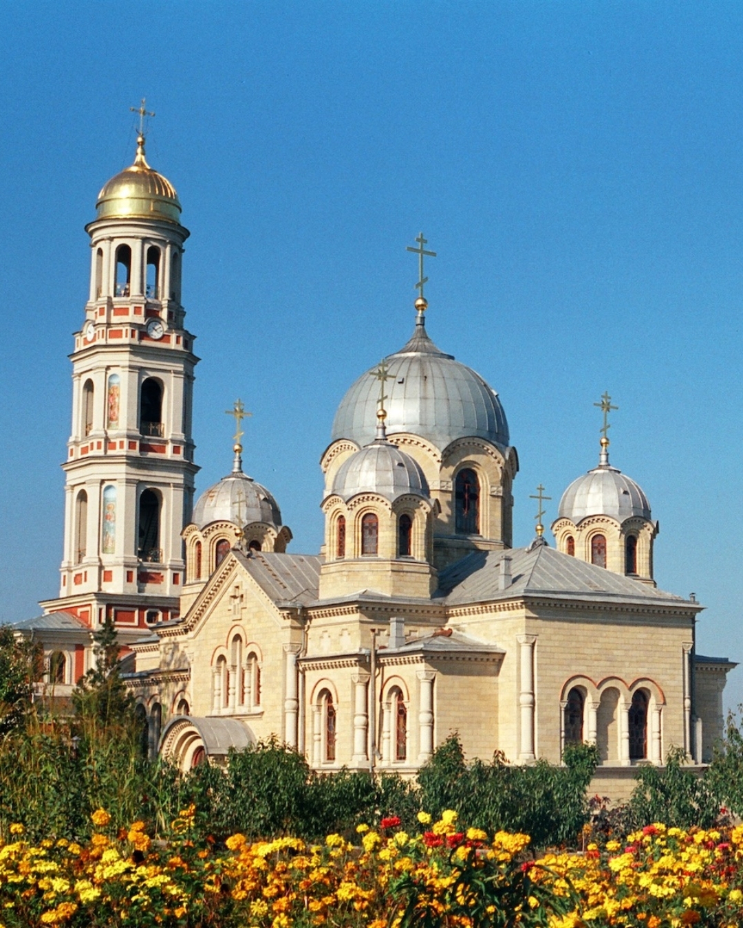 Place image
