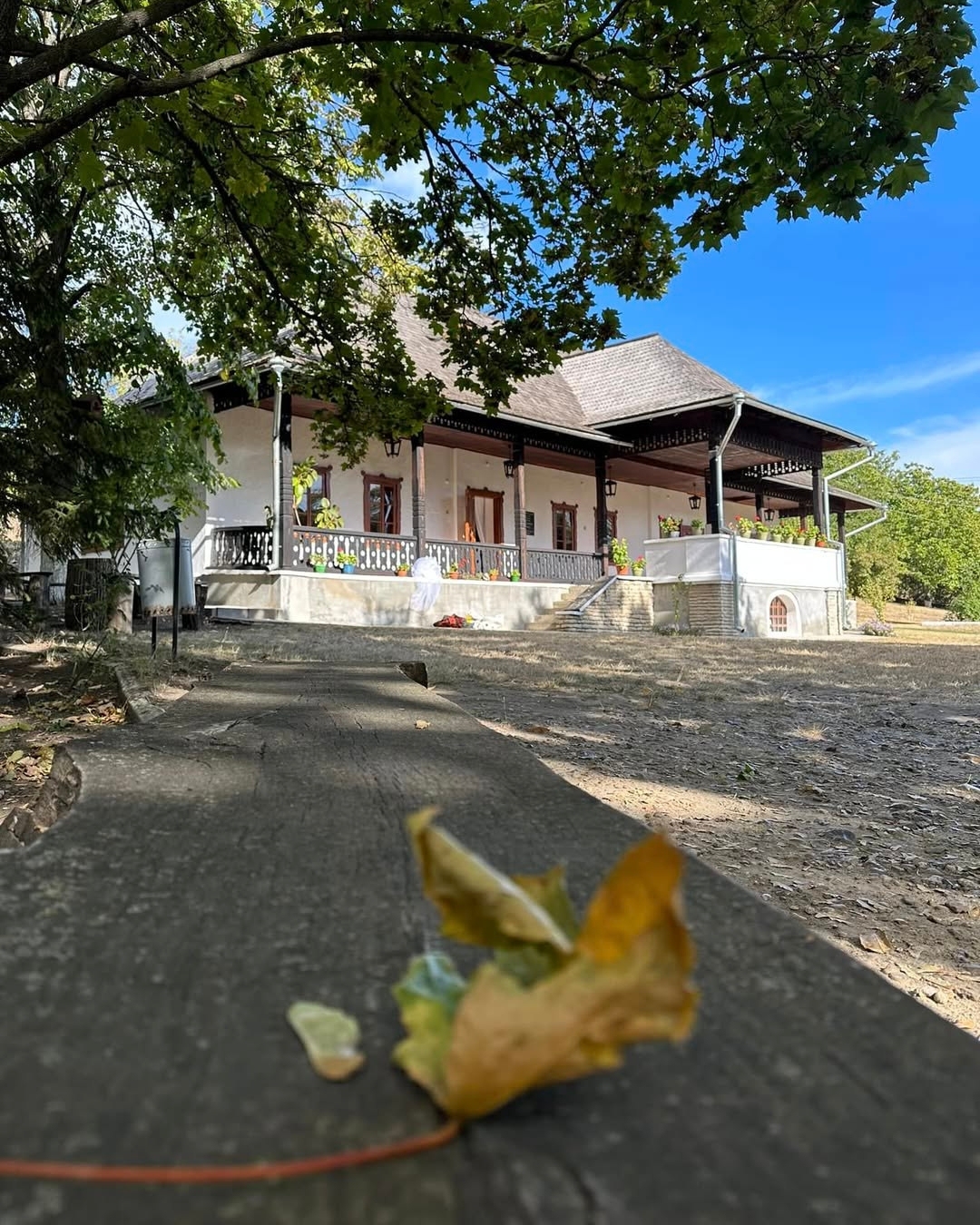 Place image