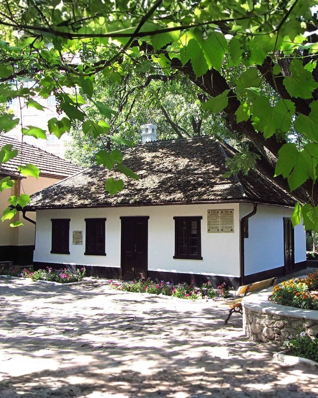 Place image