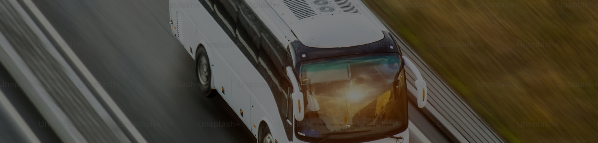 Servicii de transport
