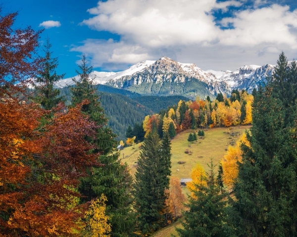Drumeție la Vf. Postavarul și Amfiteatrul Transilvania 